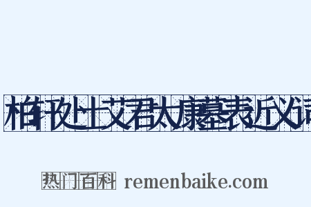 柏轩处士艾君太康墓表近义词是什么意思的图片
